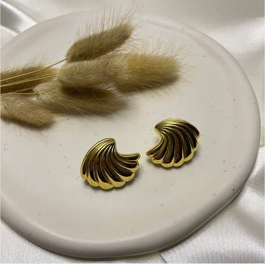 Shell Ohrring
