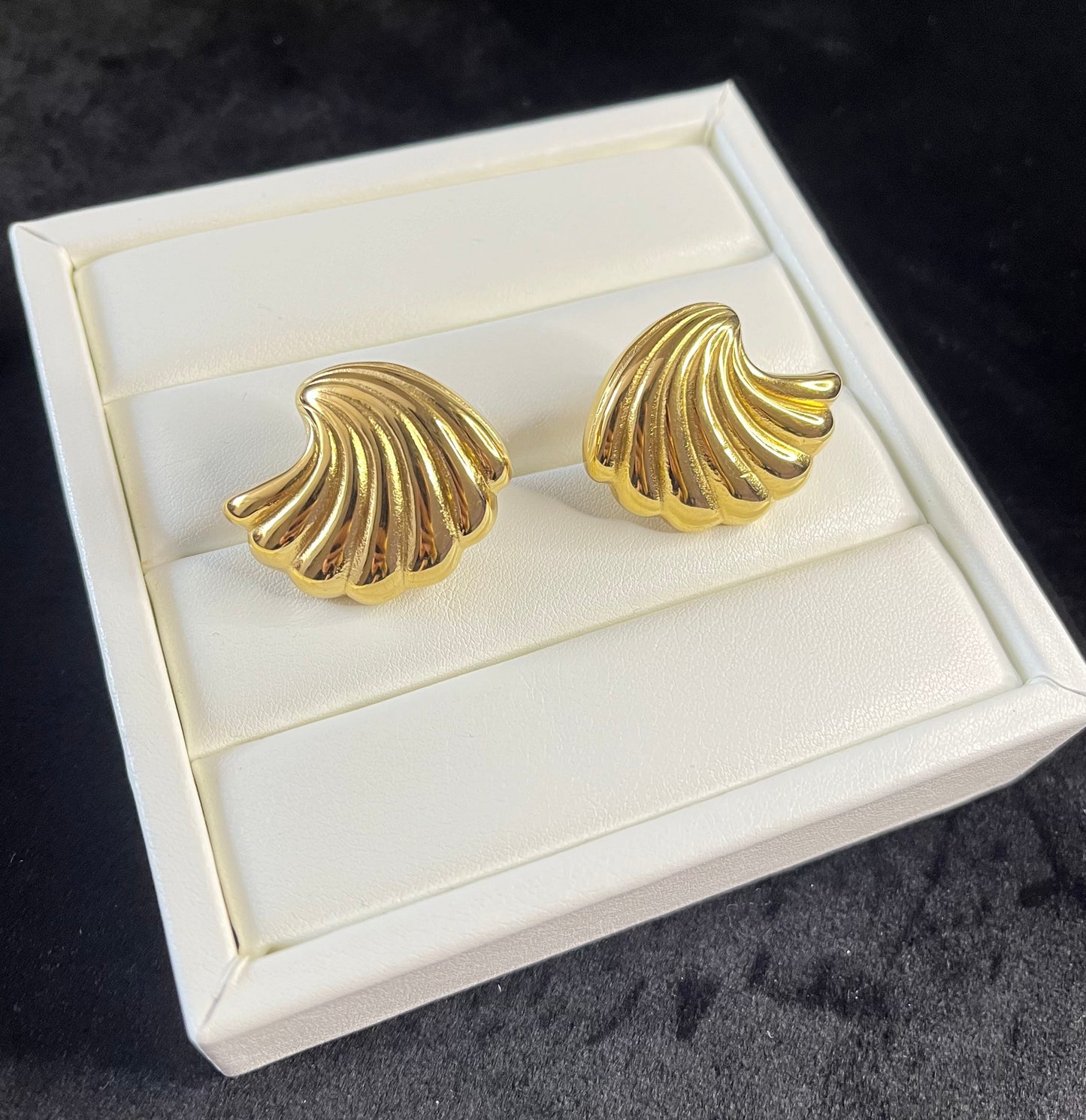 Shell Ohrring