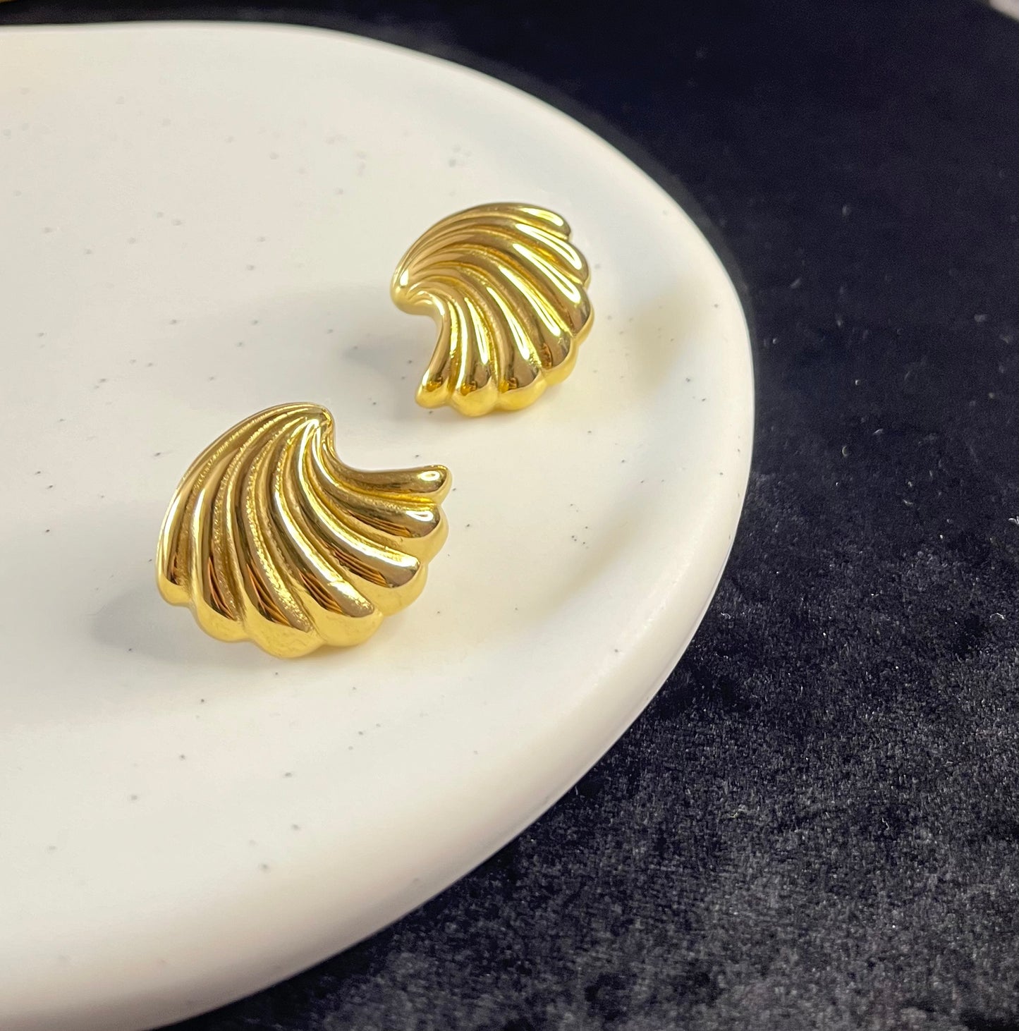 Shell Ohrring